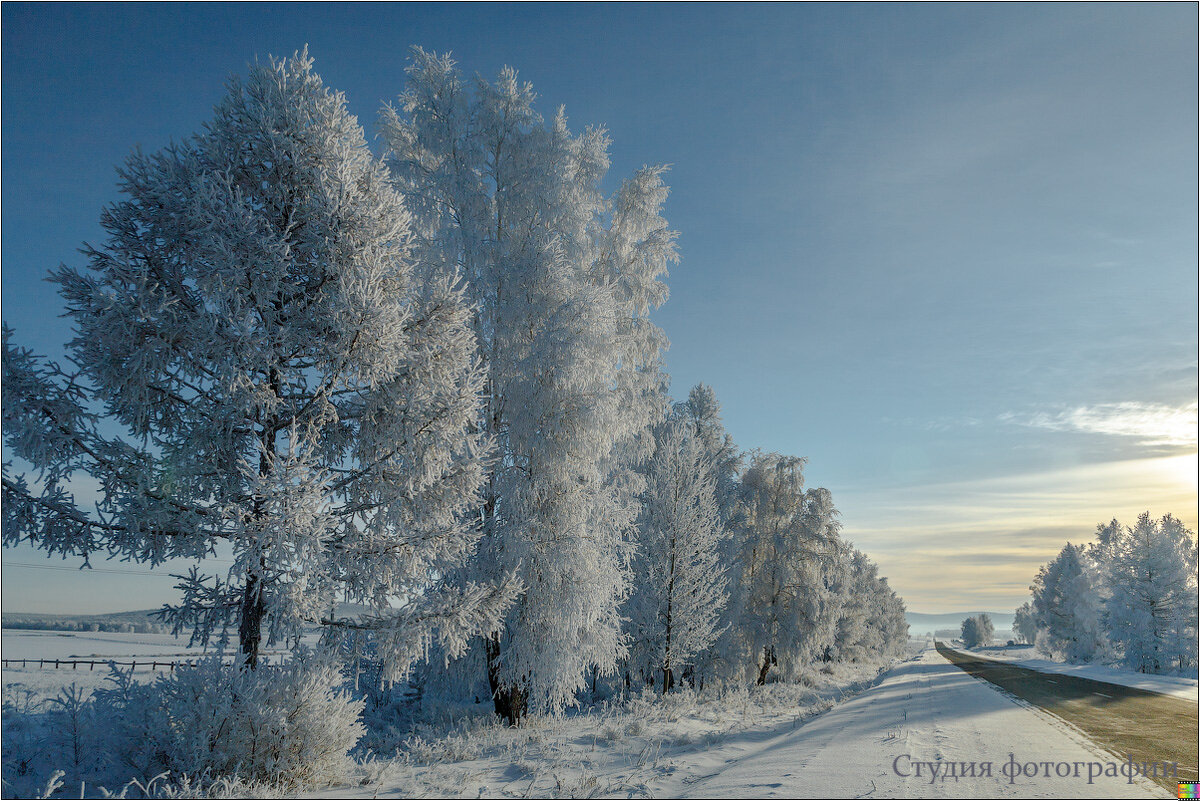 Морозной дорогой - Студия фотографии