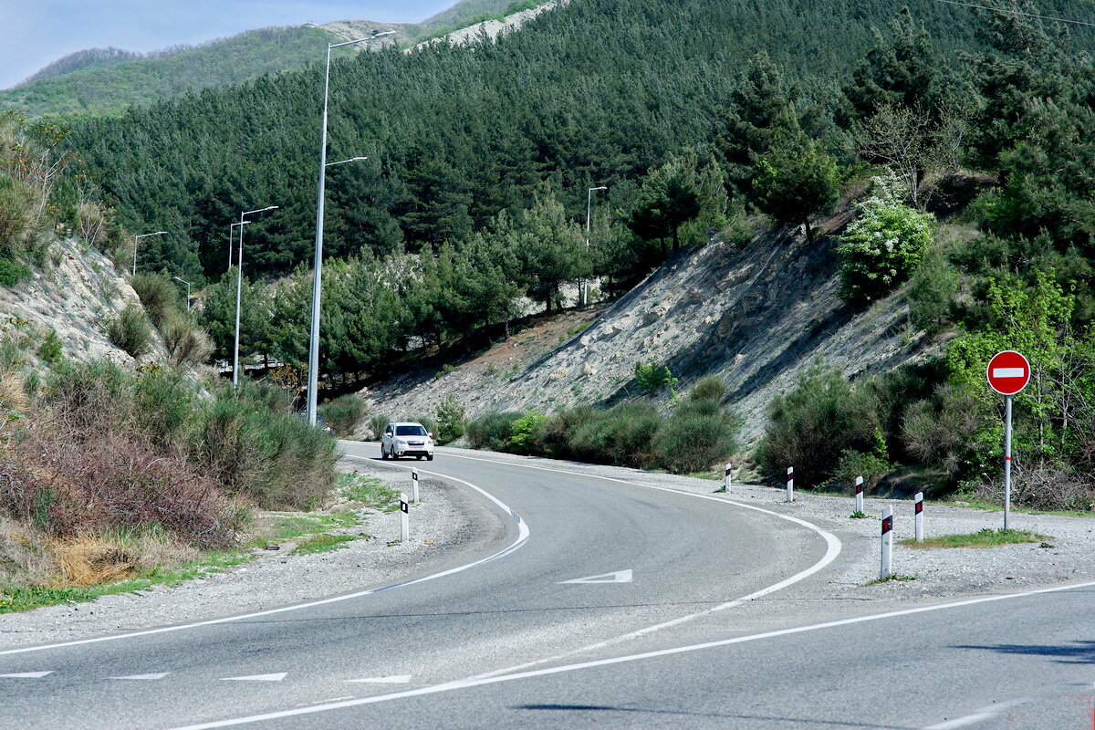 Мы снова едем в Геленджик... - Николай Саржанов