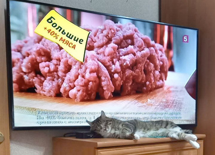 Вещий сон... - Виктор Фельдшеров