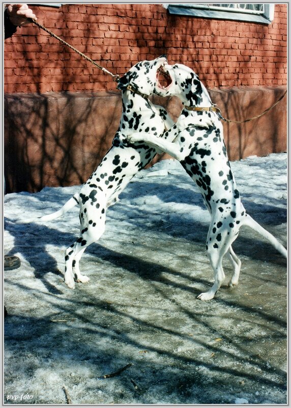 Весенние игры. - Владимир Попов