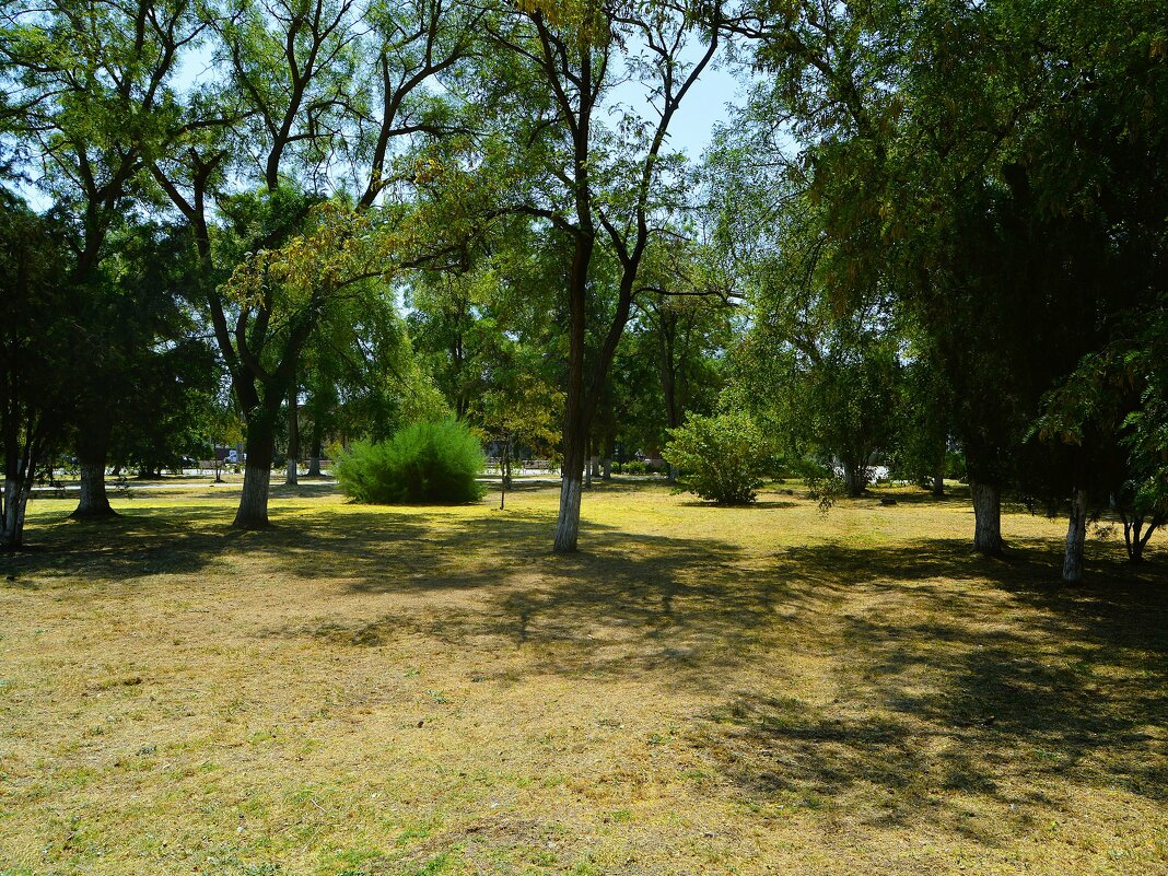 Керчь. Сквер Городской администрации. - Пётр Чернега Керчь. Сквер Городской администрации. - Пётр Чернега