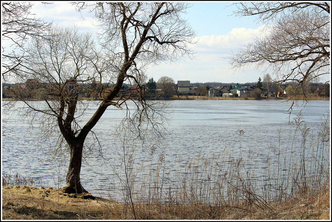 *** - Aleksandr Gal *** - Aleksandr Gal