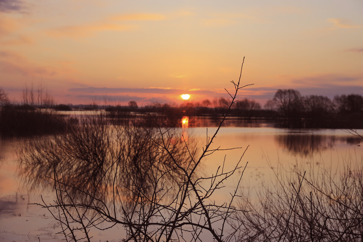 ....... - Вадим Виловатый