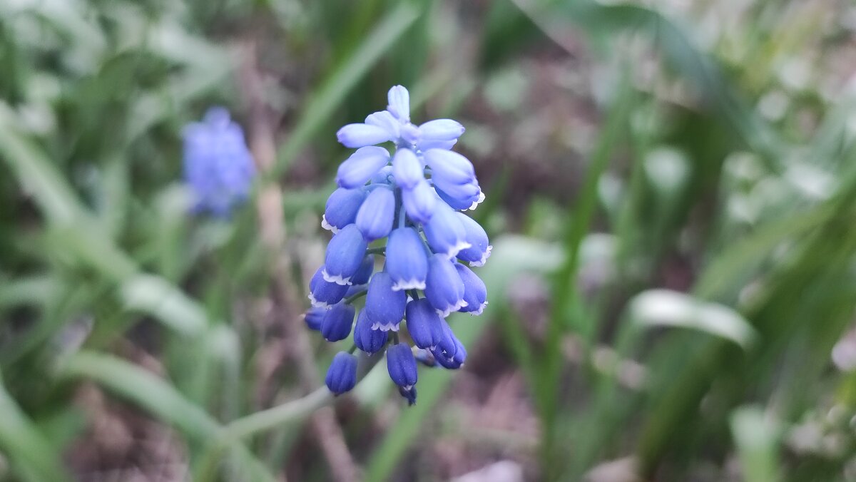 ,,, - Сергей Тимоновский