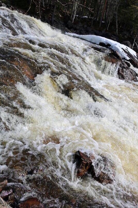 Весенний поток - Ольга 