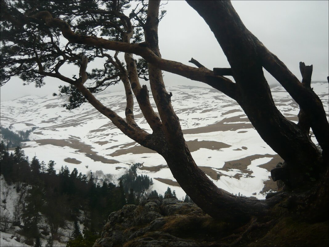 Ранняя весна! - Надежда Ранняя весна! - Надежда