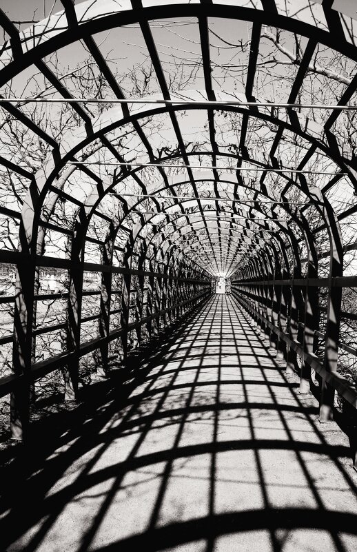 Петергоф. Верхний сад - Наталья Герасимова Петергоф. Верхний сад - Наталья Герасимова