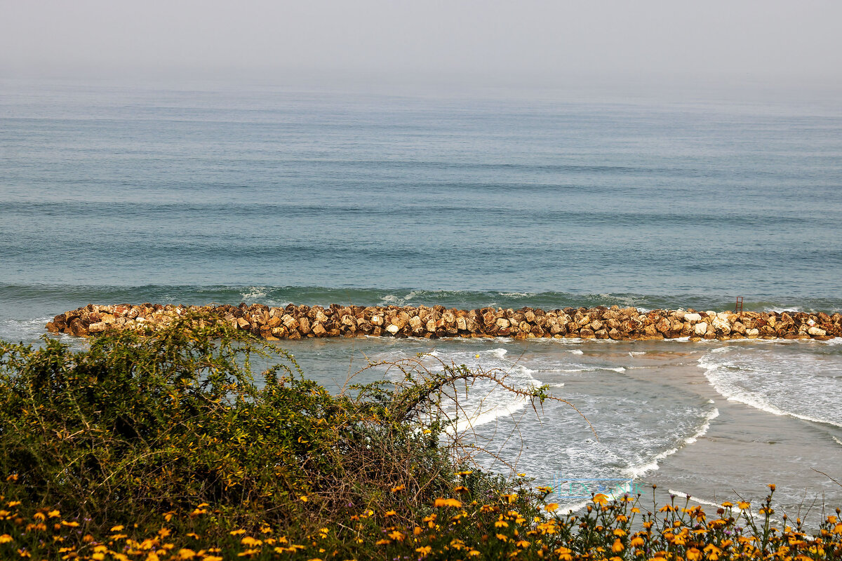 Волнолом. - Argaman Табашник