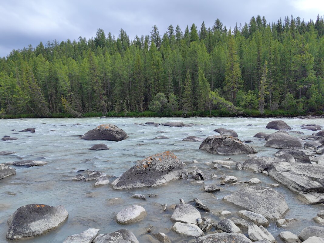 Камни в реке Аргут - Галина Козлова 
