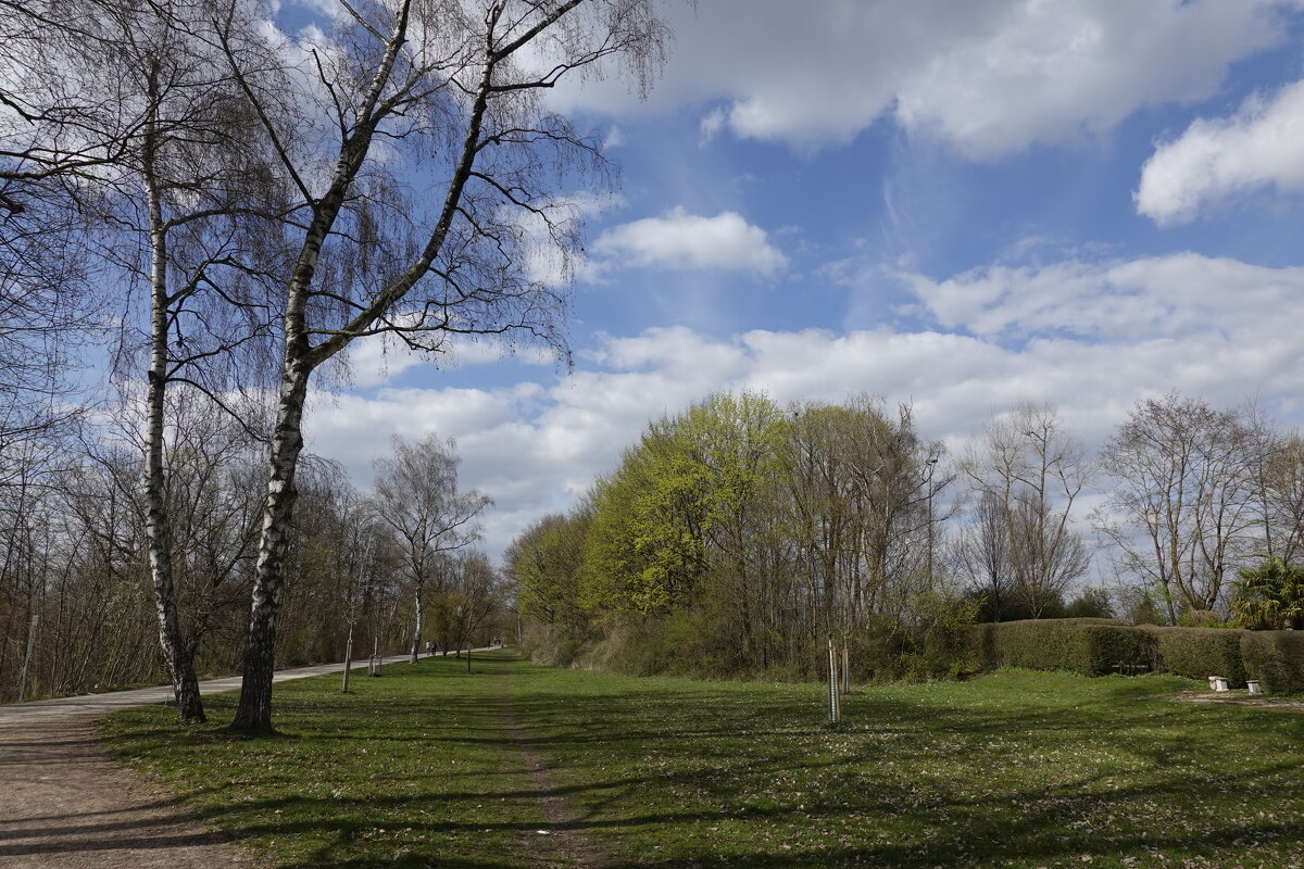 Апрельские зарисовки... - Галина Апрельские зарисовки... - Галина