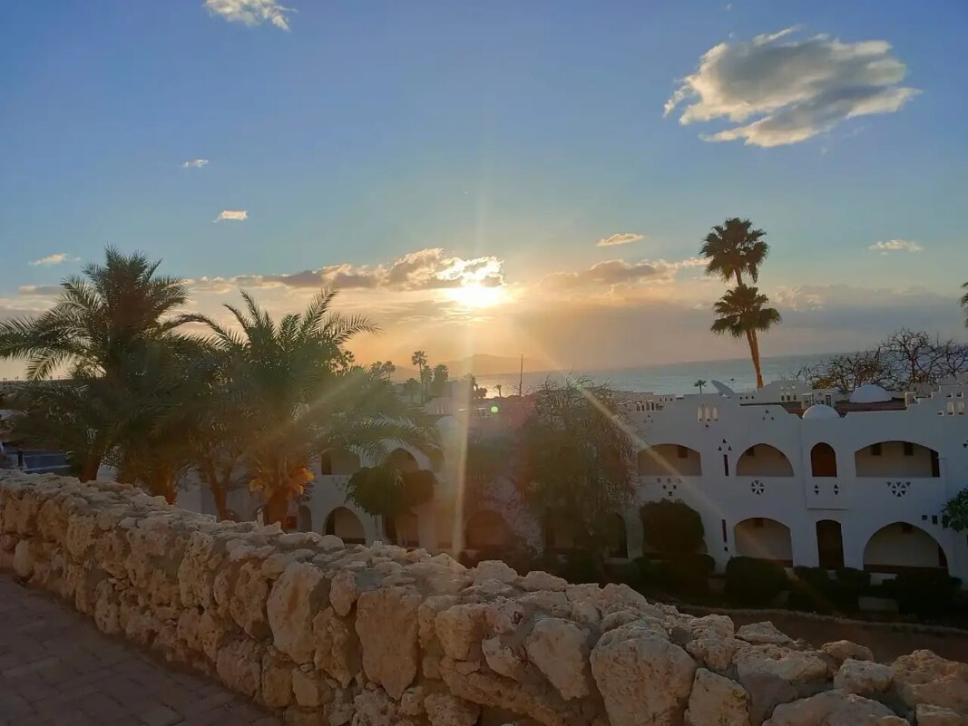 Египет. Шарм-эль-Шейх - Ирэн 