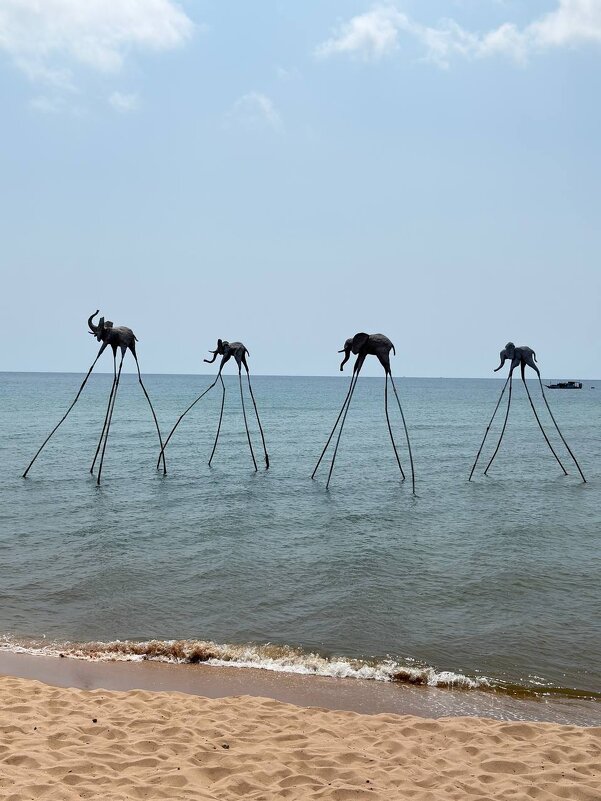 По морю слонов водили - Александр 