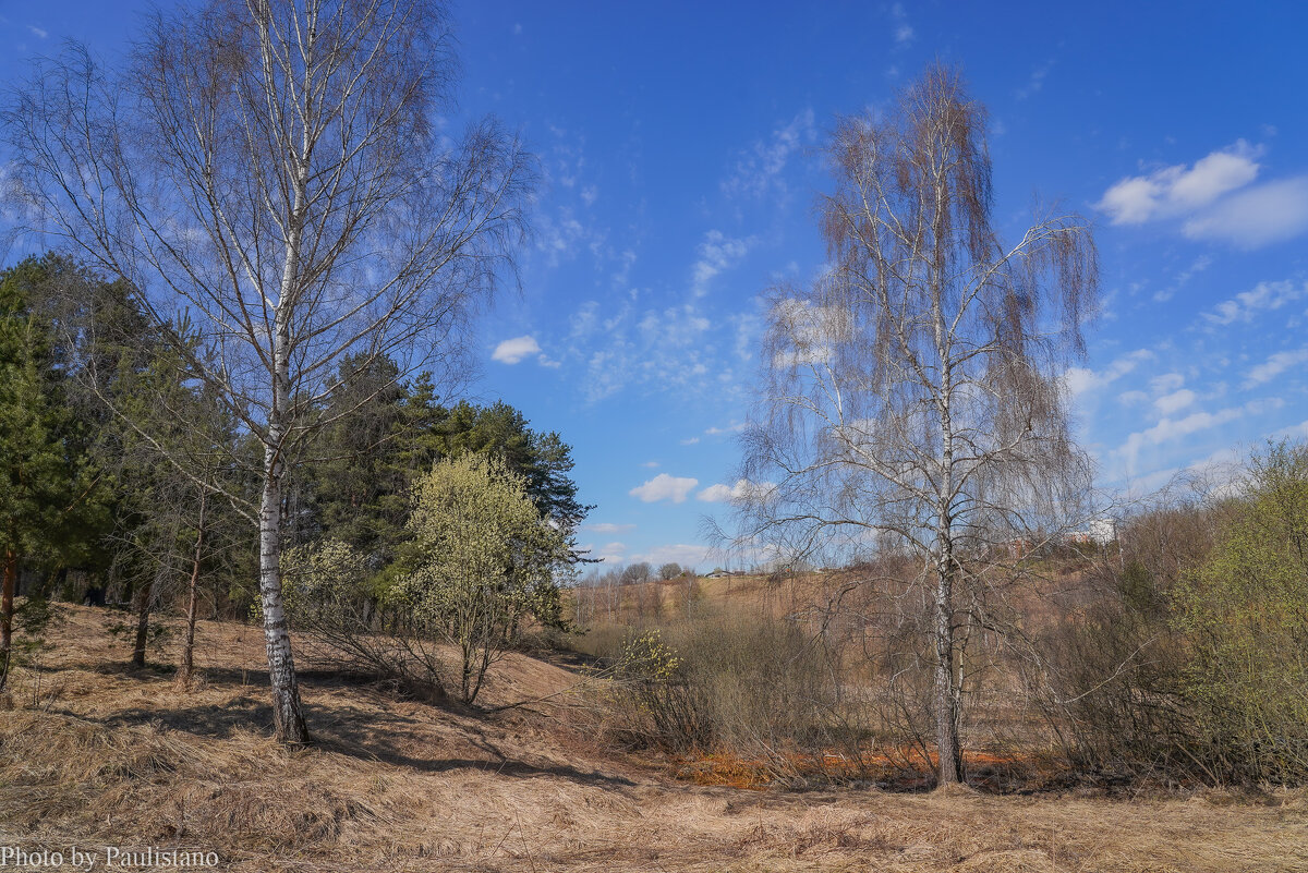 Палитра апреля... - Владимир Жданов