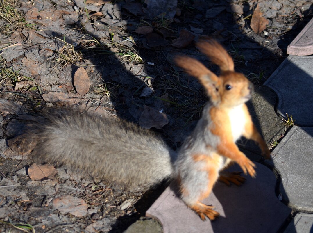 Тени прикольно получились - Savayr 