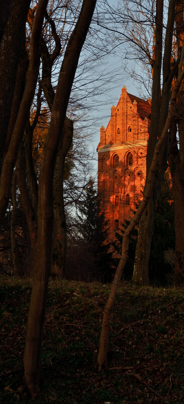 Кирха Нойхаузена. - Константин Белоногов