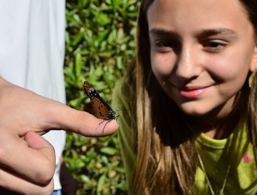 Любопытные - Иван К