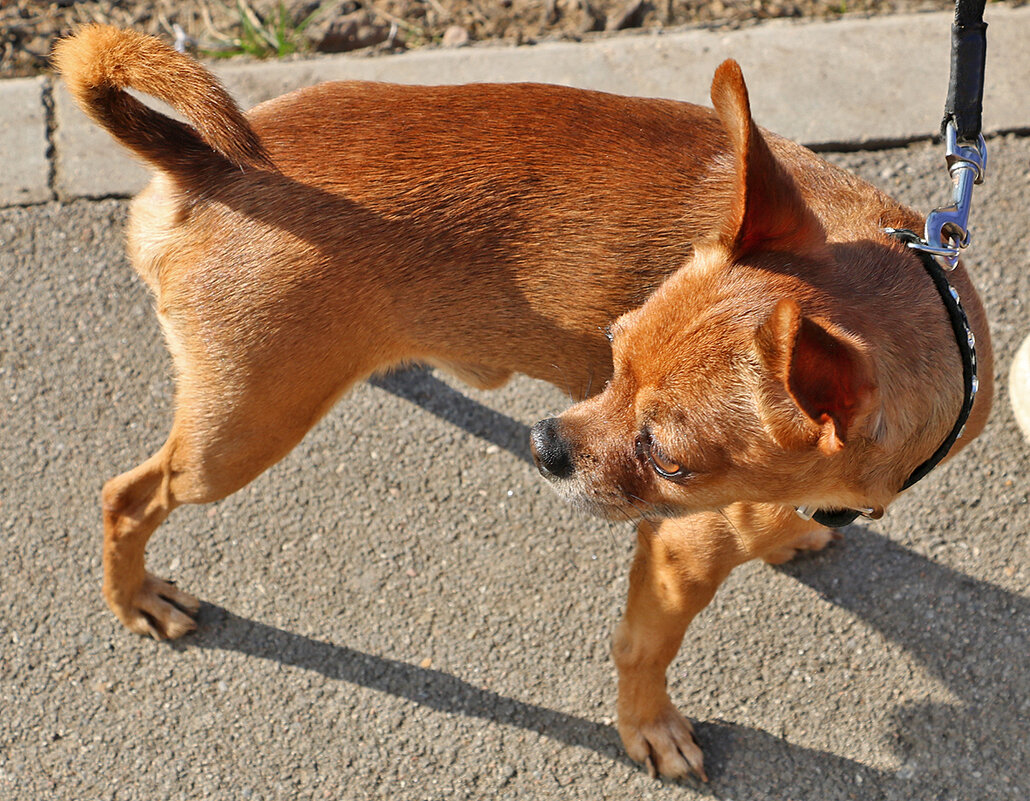 Я обернулся посмотреть. не обернулась ли ты... - Светлана Я обернулся посмотреть. не обернулась ли ты... - Светлана