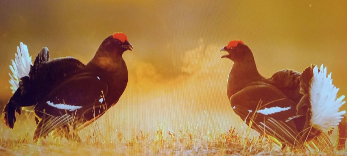 Встреча... - Валерий Кокорев