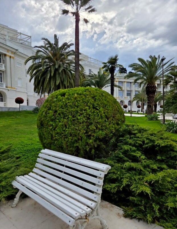 СОЧИ - Tata Wolf