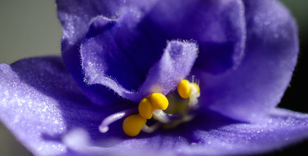 *** - Виктор Иванович Чернюк *** - Виктор Иванович Чернюк