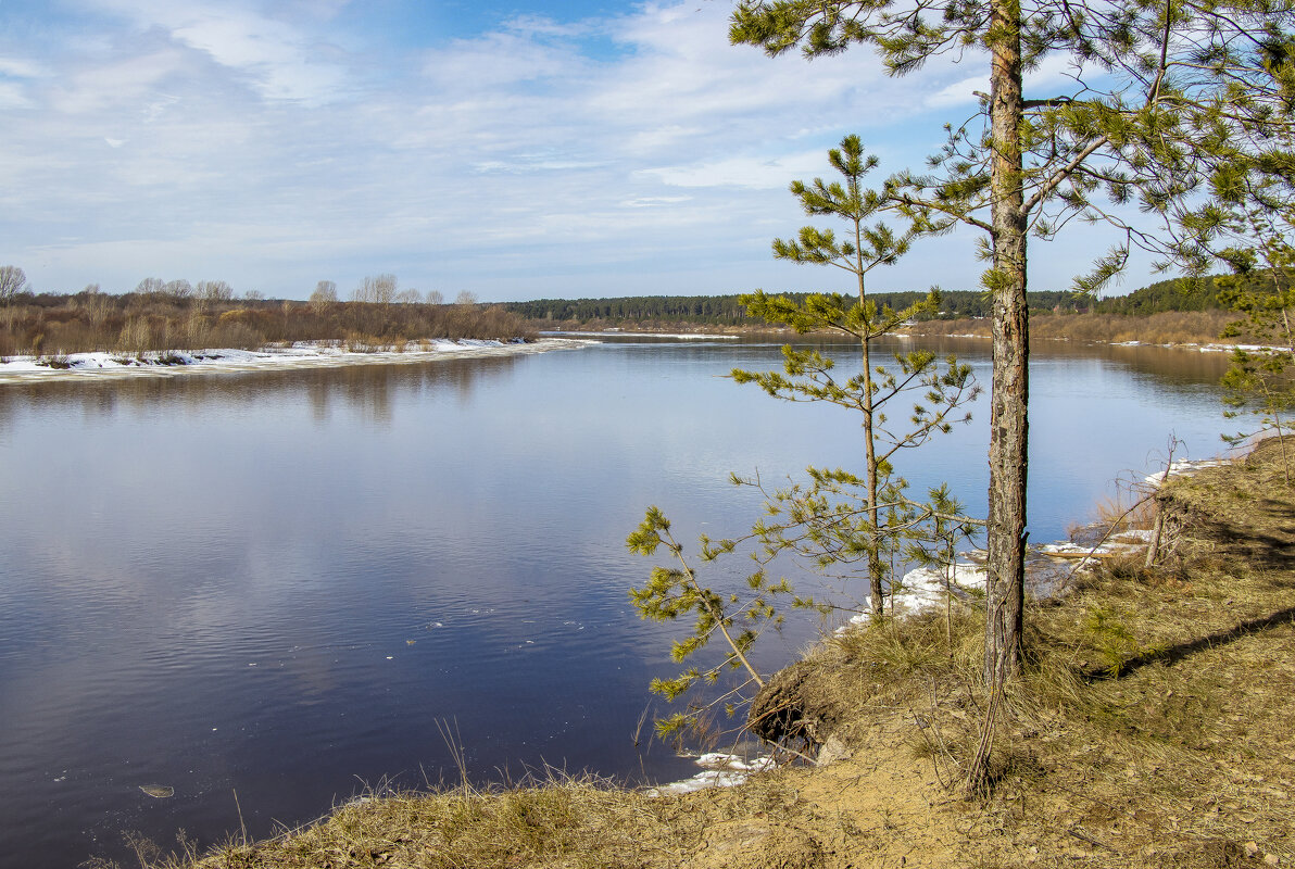 Весна - Галина Новинская Весна - Галина Новинская