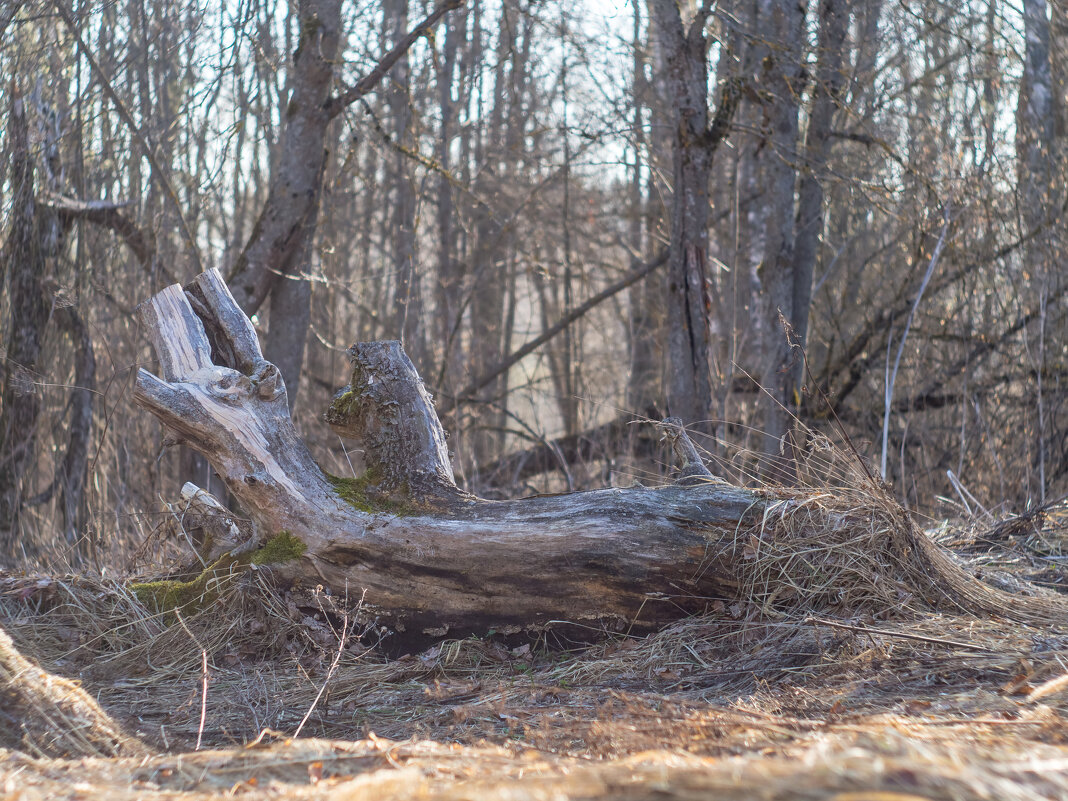 ___ - Yuriy V ___ - Yuriy V