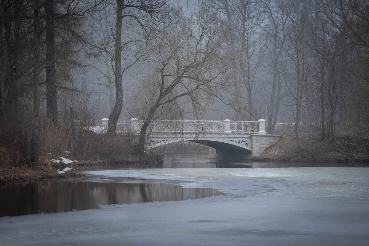 **** - Елизавета .