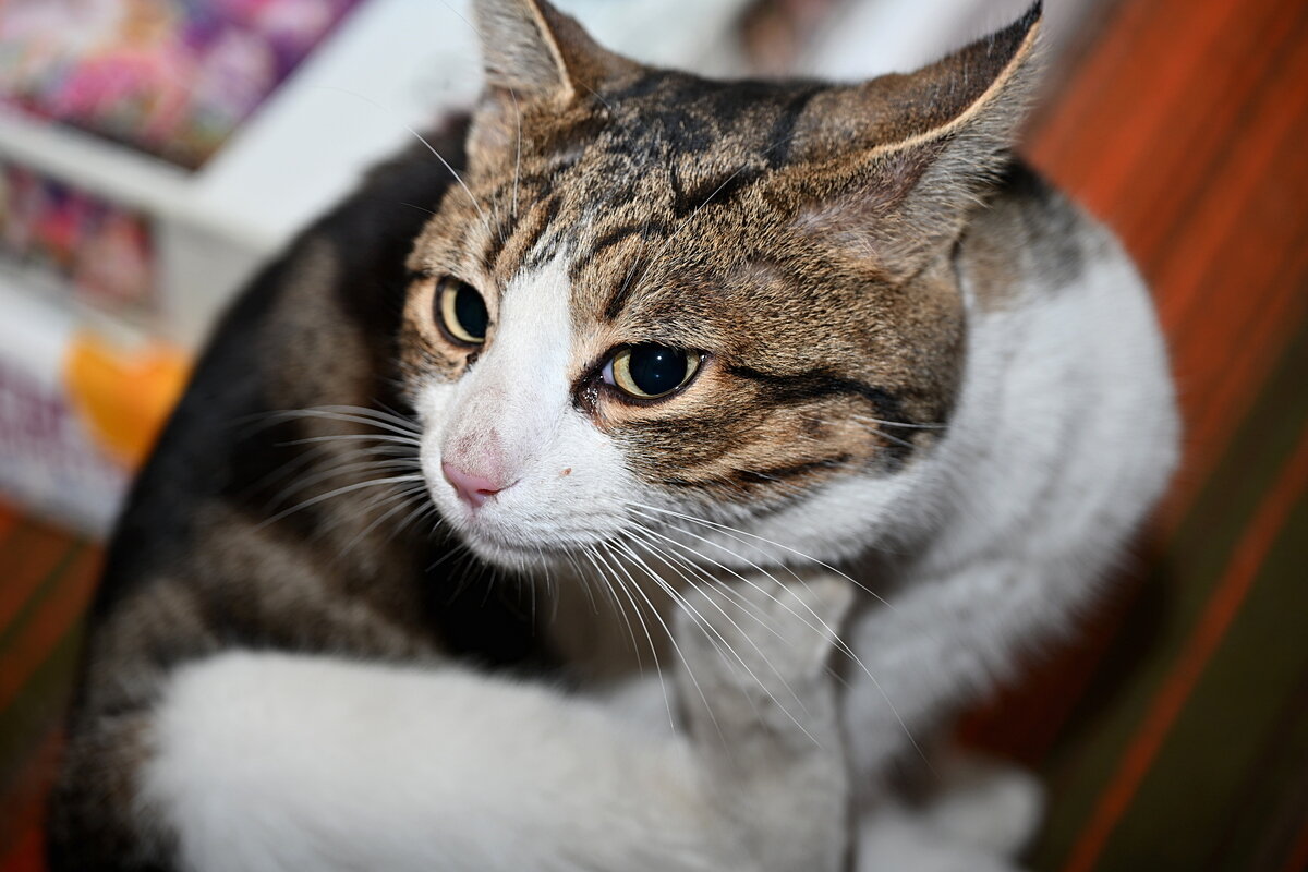 о чем задумался...? - Aleksandr .