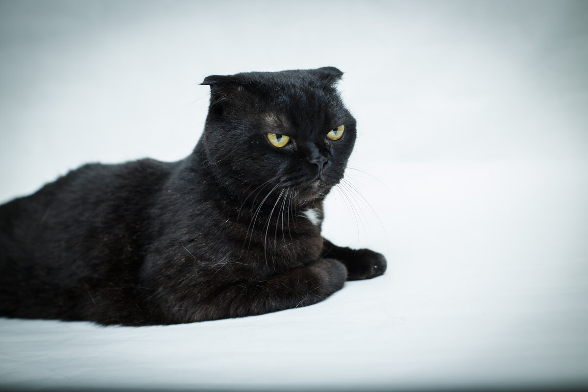 _ - Тамара Федорова