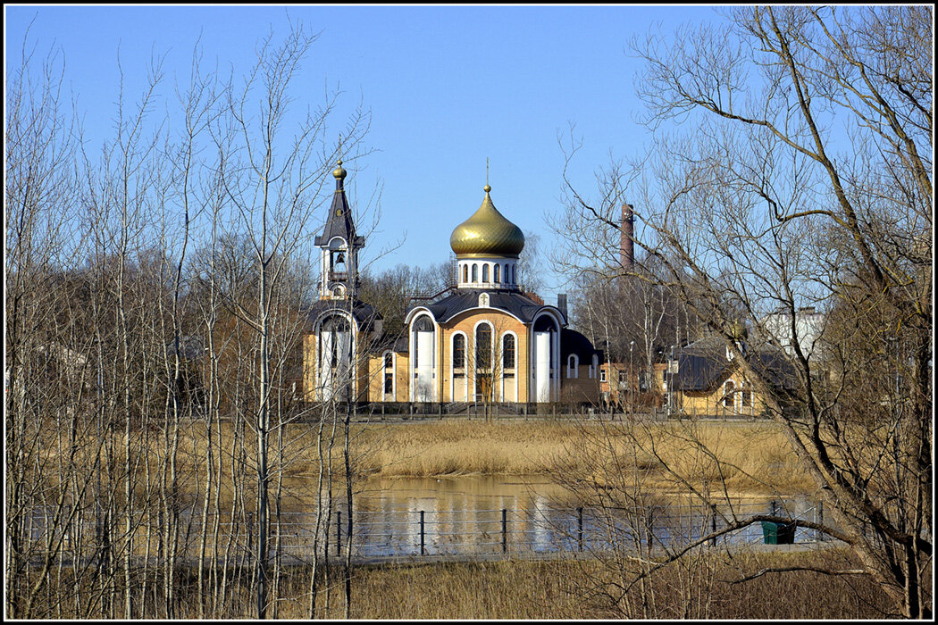 С Праздником Вербного Воскресения - Aleksandr Gal