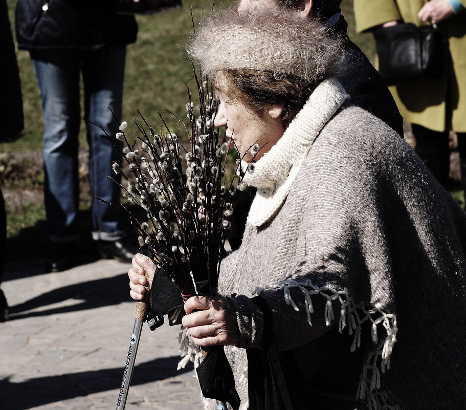 ВЕРБНОЕ - Виктор Никитенко