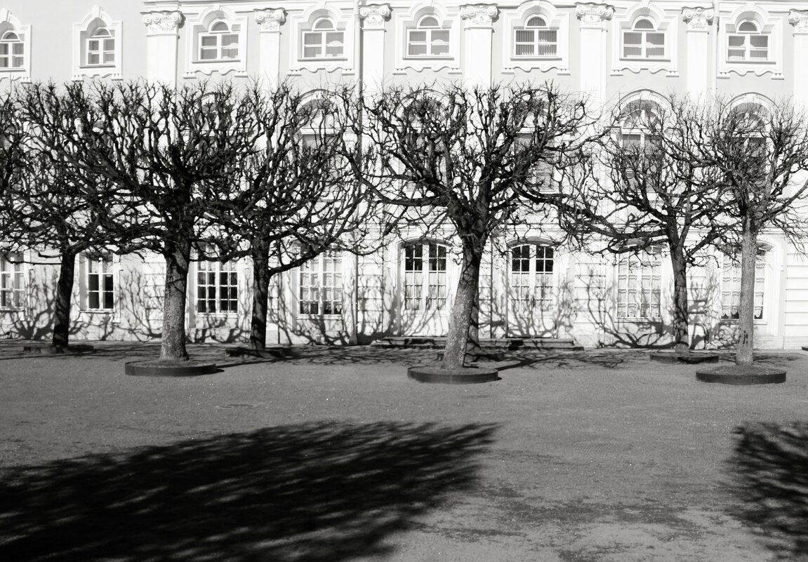 Петергоф. Верхний сад - Наталья Герасимова Петергоф. Верхний сад - Наталья Герасимова