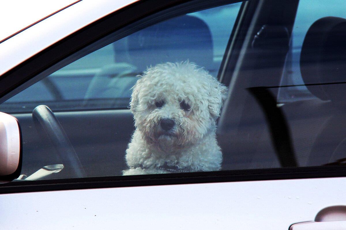 Скучаю - Сергей Сомихин