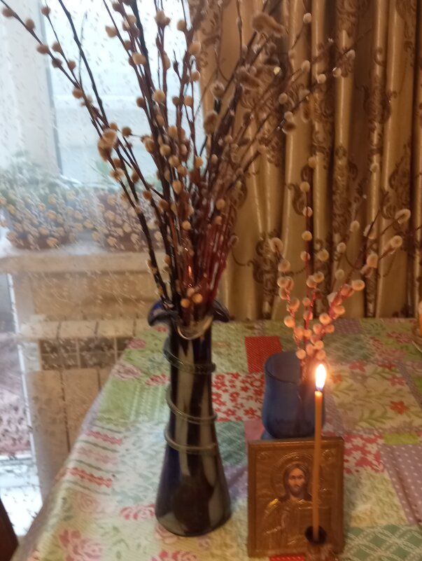 Всех с Вербным Воскресеньем! Счастья, мира и добра! - Елена Семигина