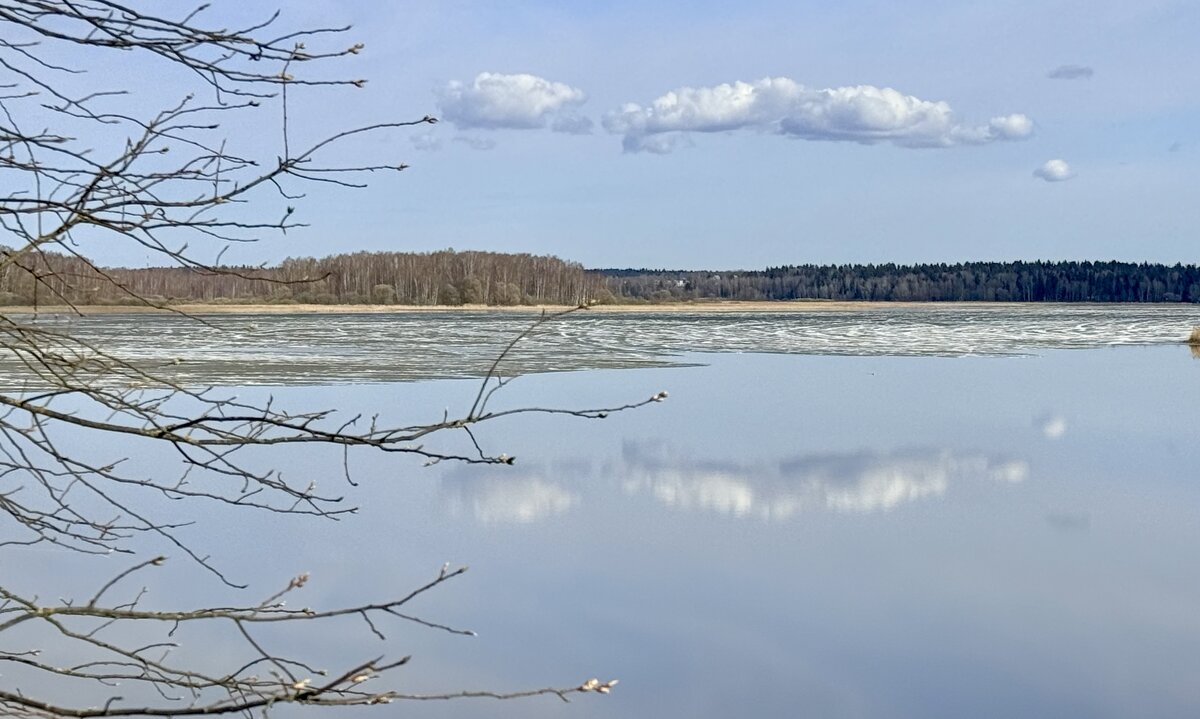Апрель’26г. - Арина Невская