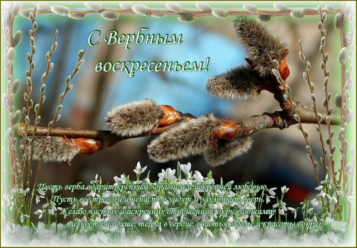 С Вербным воскресеньем! - Валентина Надсон