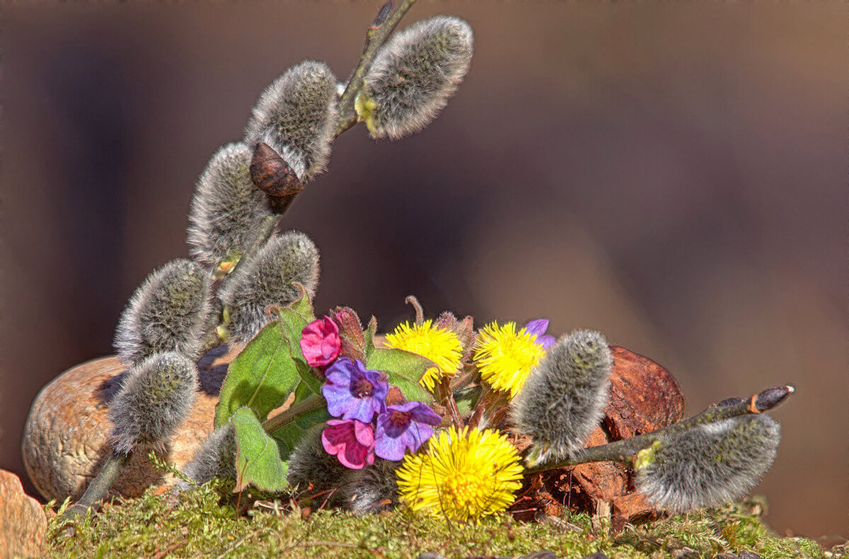 С Праздником! - Вячеслав Минаев