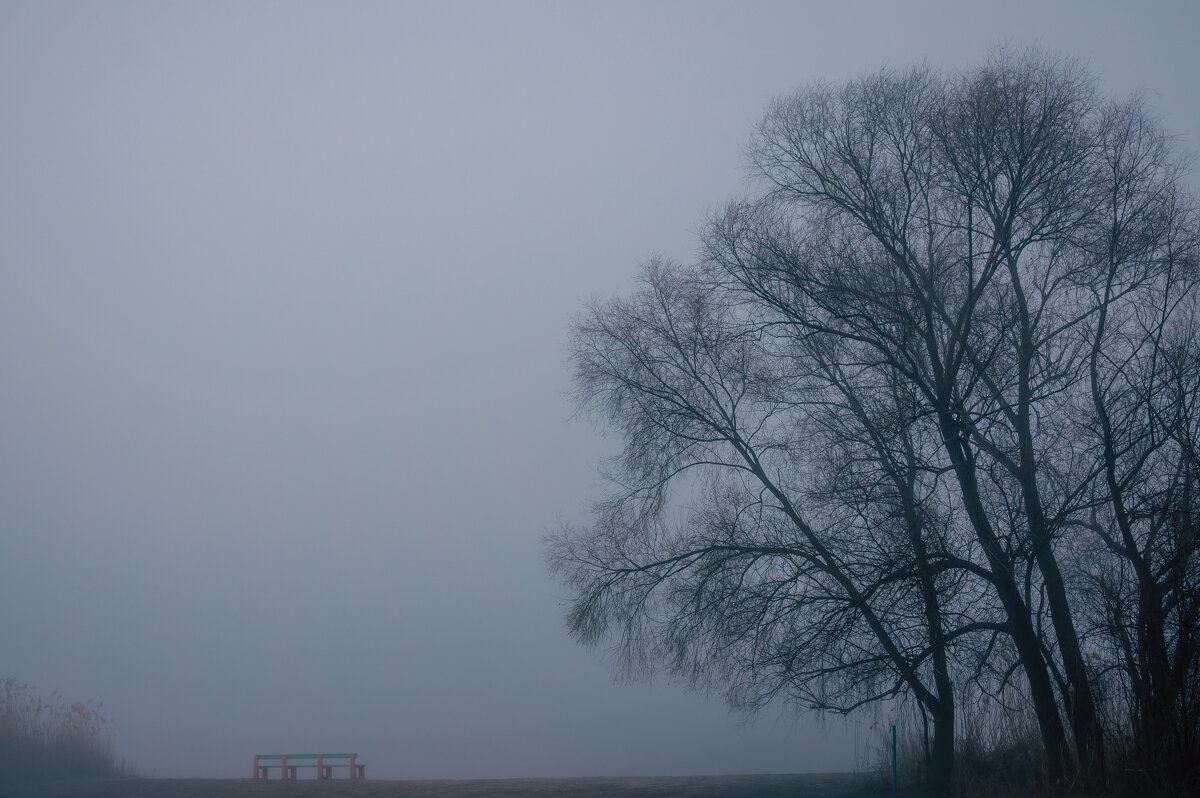 Утренний, туманный пейзаж - Сергей В Утренний, туманный пейзаж - Сергей В