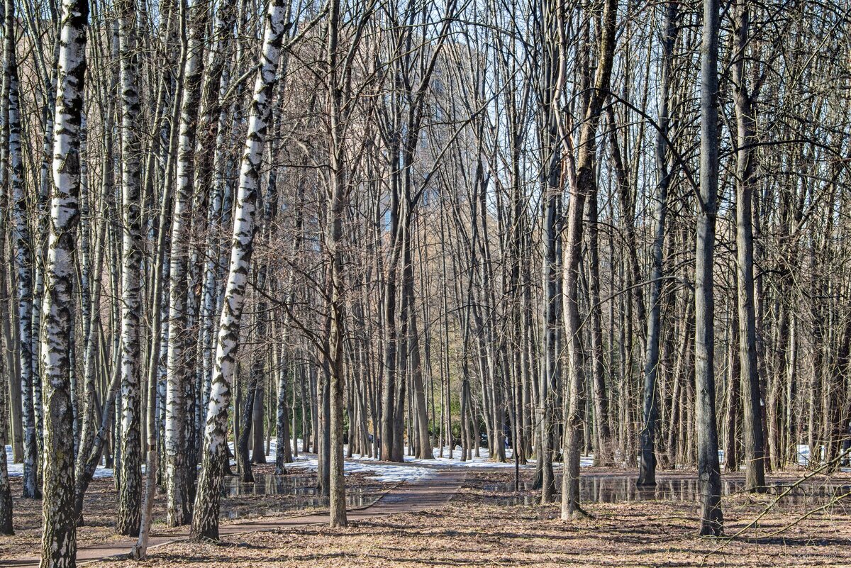 По дороге ... - Kirill 