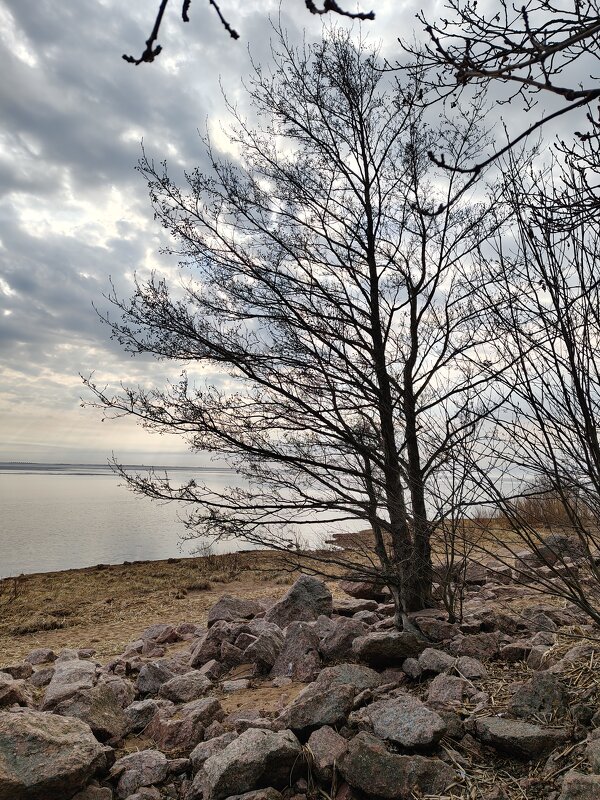 Март - Андрей 