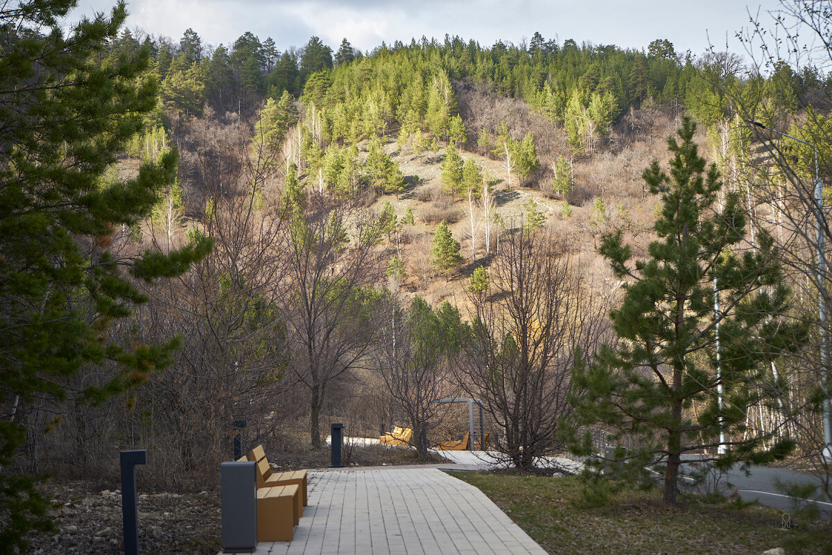 Ширяево. Прогулочная тропа - Олег Манаенков