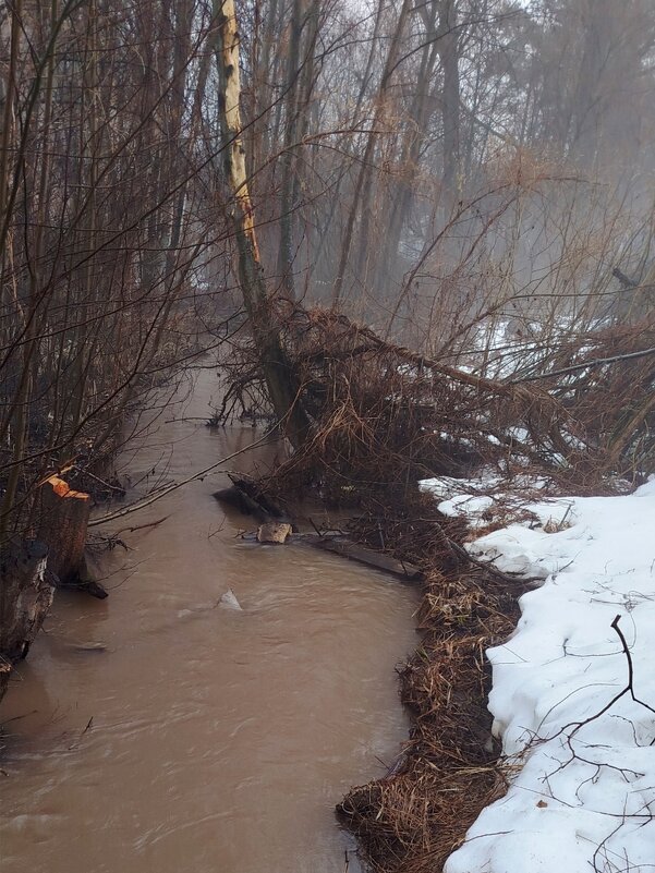 р.Мутнушка - светлана льдокова