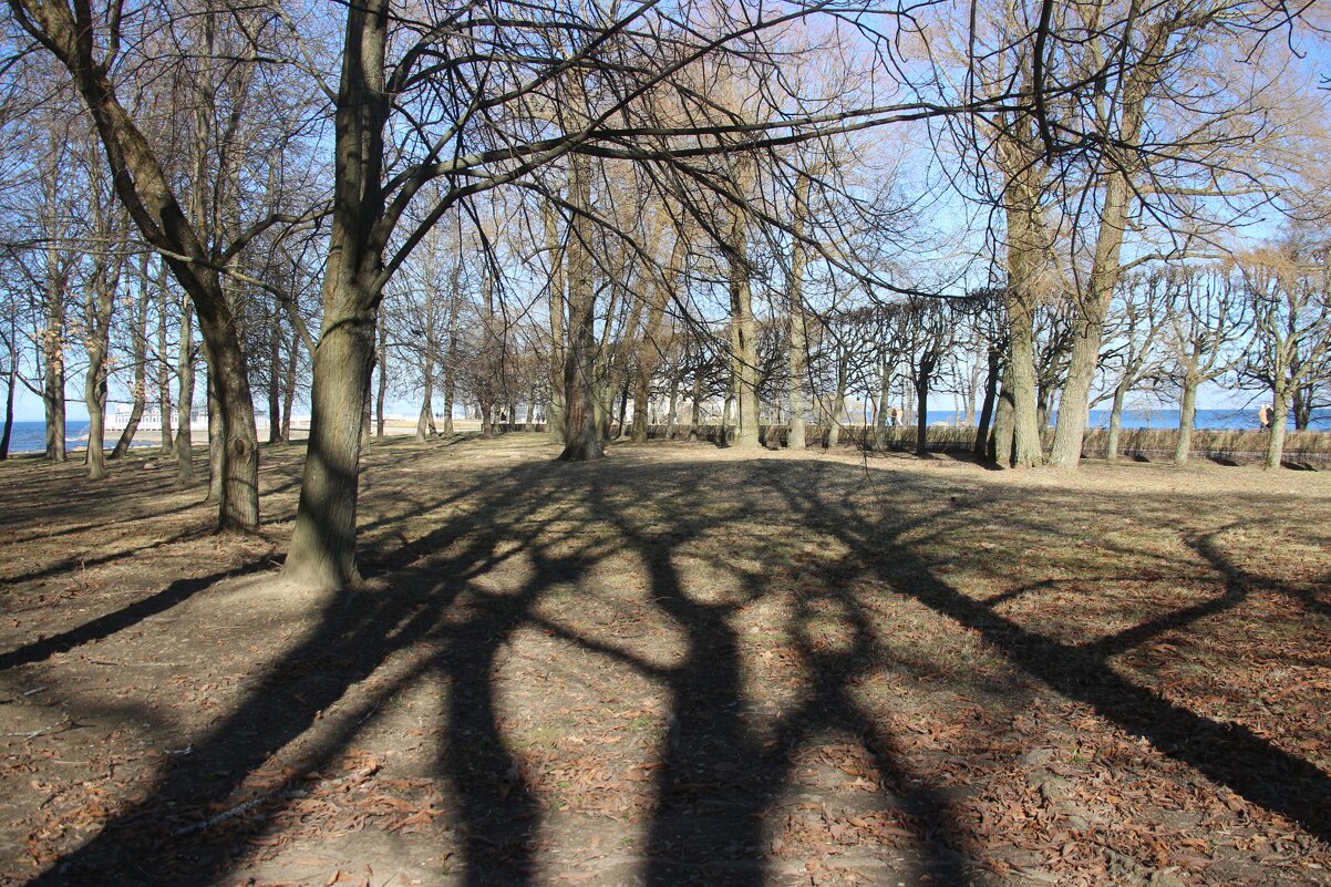 Петергоф. Нижний парк. Апрель - Наталья Герасимова Петергоф. Нижний парк. Апрель - Наталья Герасимова