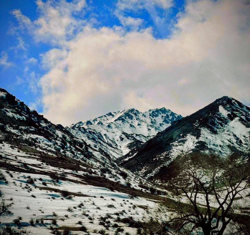 Горная страсть - Георгиевич 