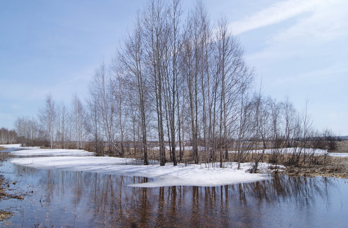 Весна,апрель. - сергей ермошкин
