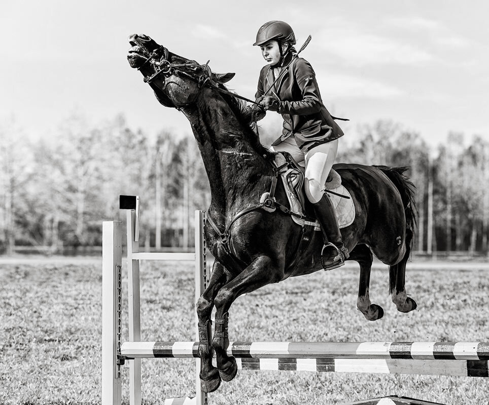 Конкур - SanSan 