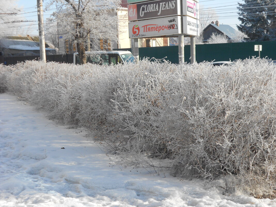 март - Елена Шаламова