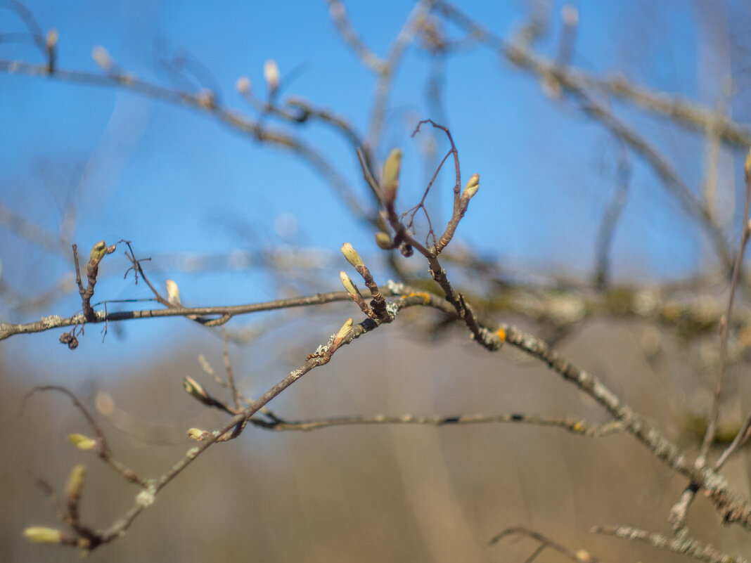 ___ - Yuriy V ___ - Yuriy V