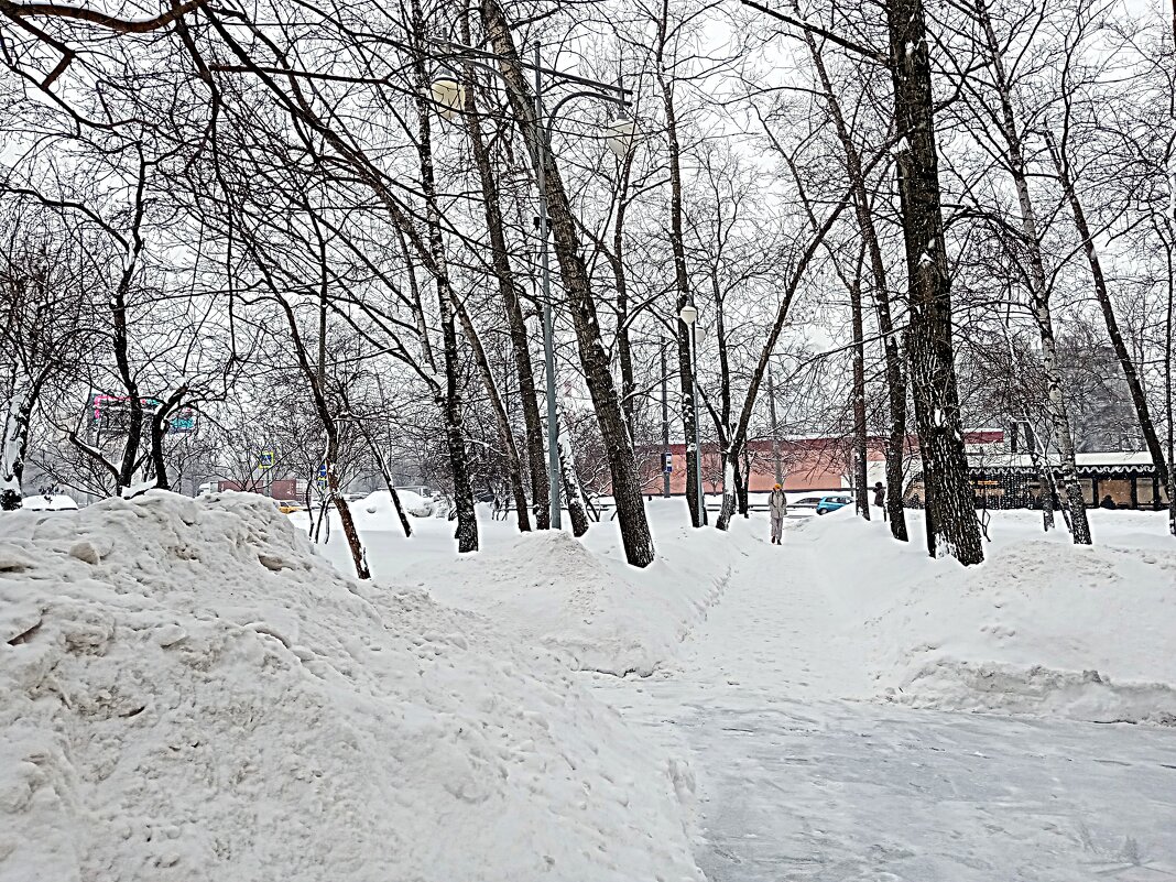 Зима - Владимир Драгунский