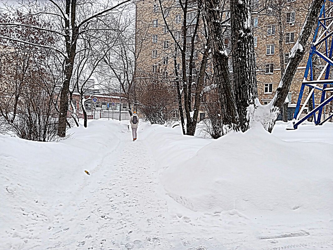 Зима. - Владимир Драгунский